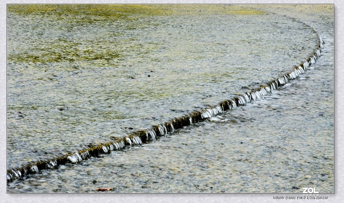 休斯顿之 --赫尔曼公园