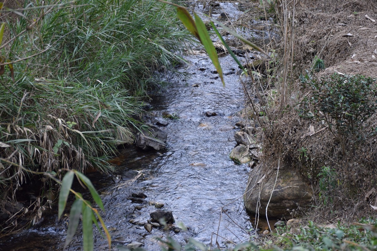 大山的人们大山的家