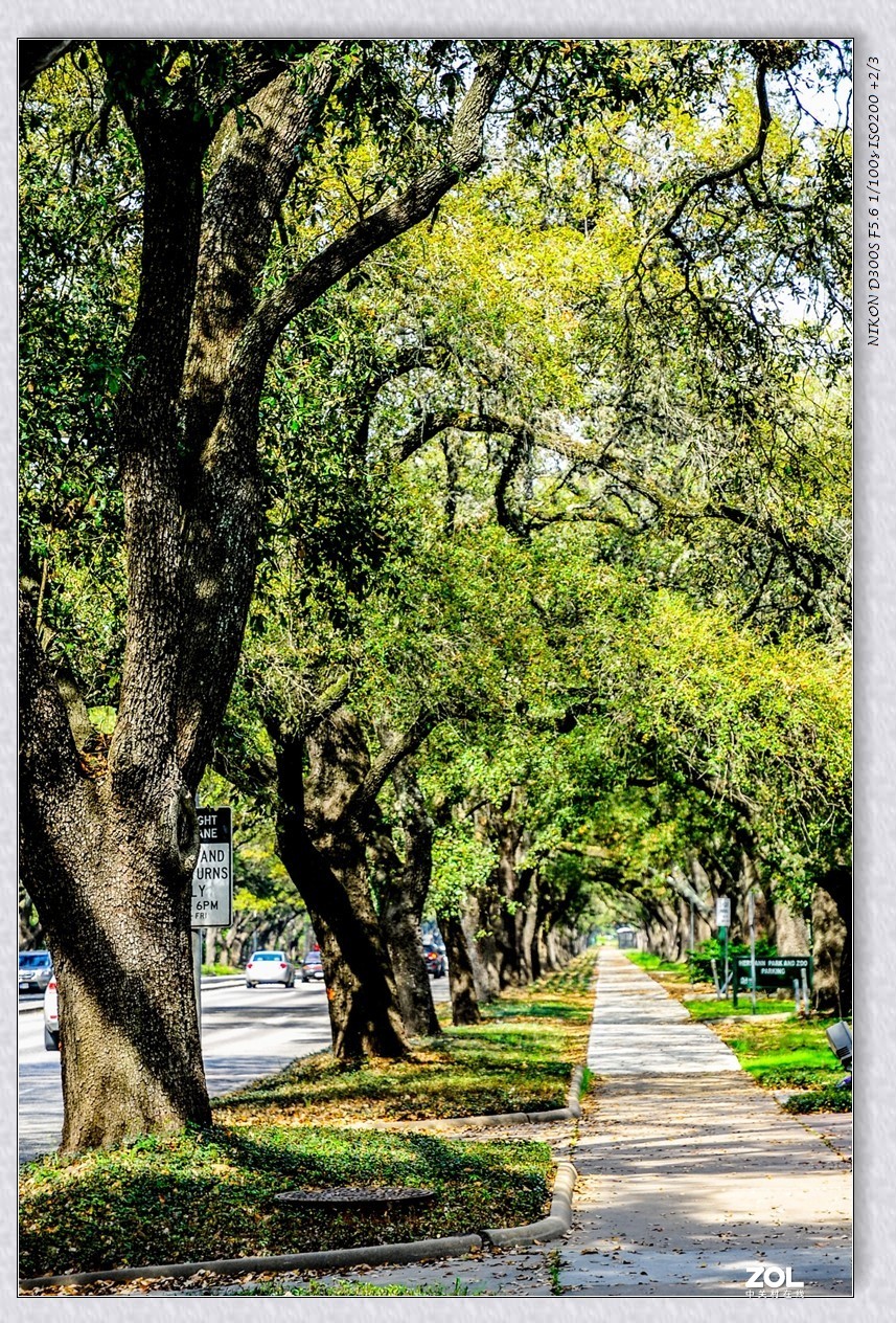 休斯顿之 --赫尔曼公园