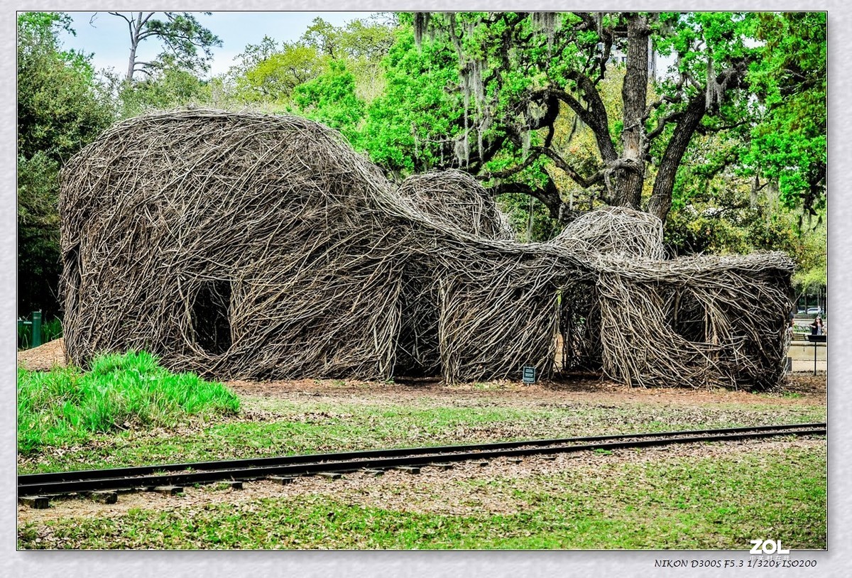 休斯顿之 --赫尔曼公园