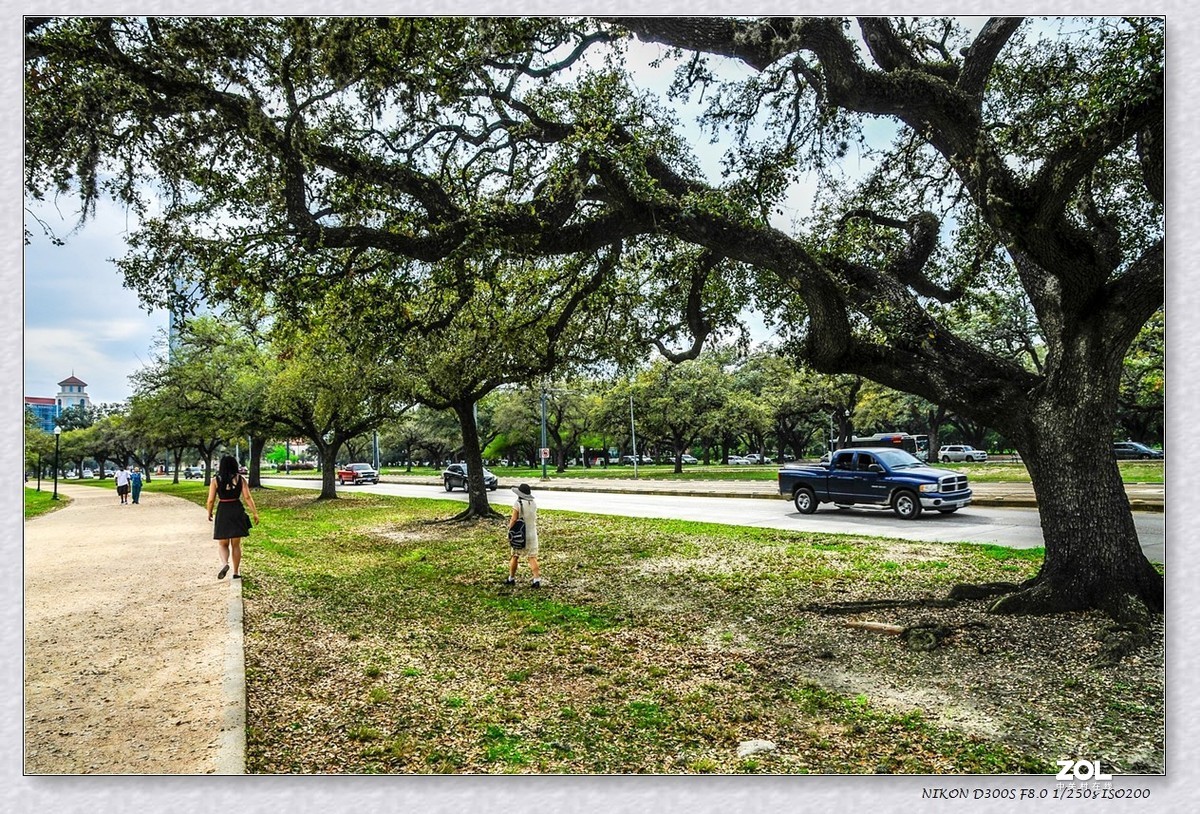 休斯顿之 --赫尔曼公园