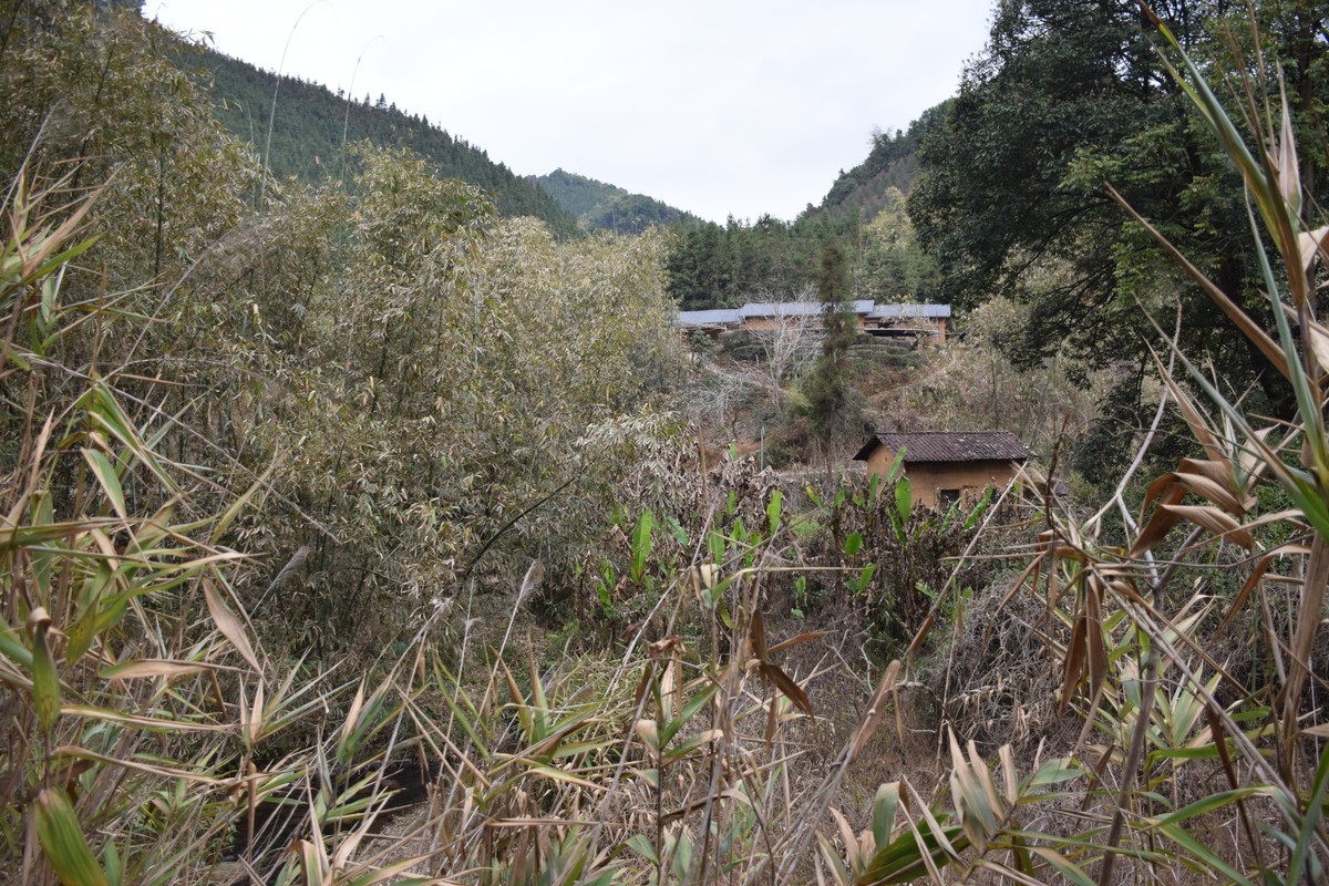 大山的人们大山的家