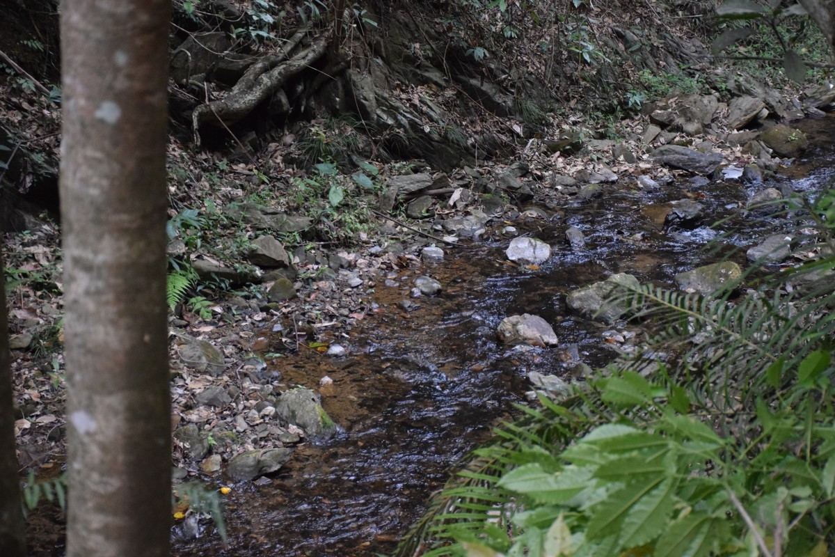 大山的人们大山的家