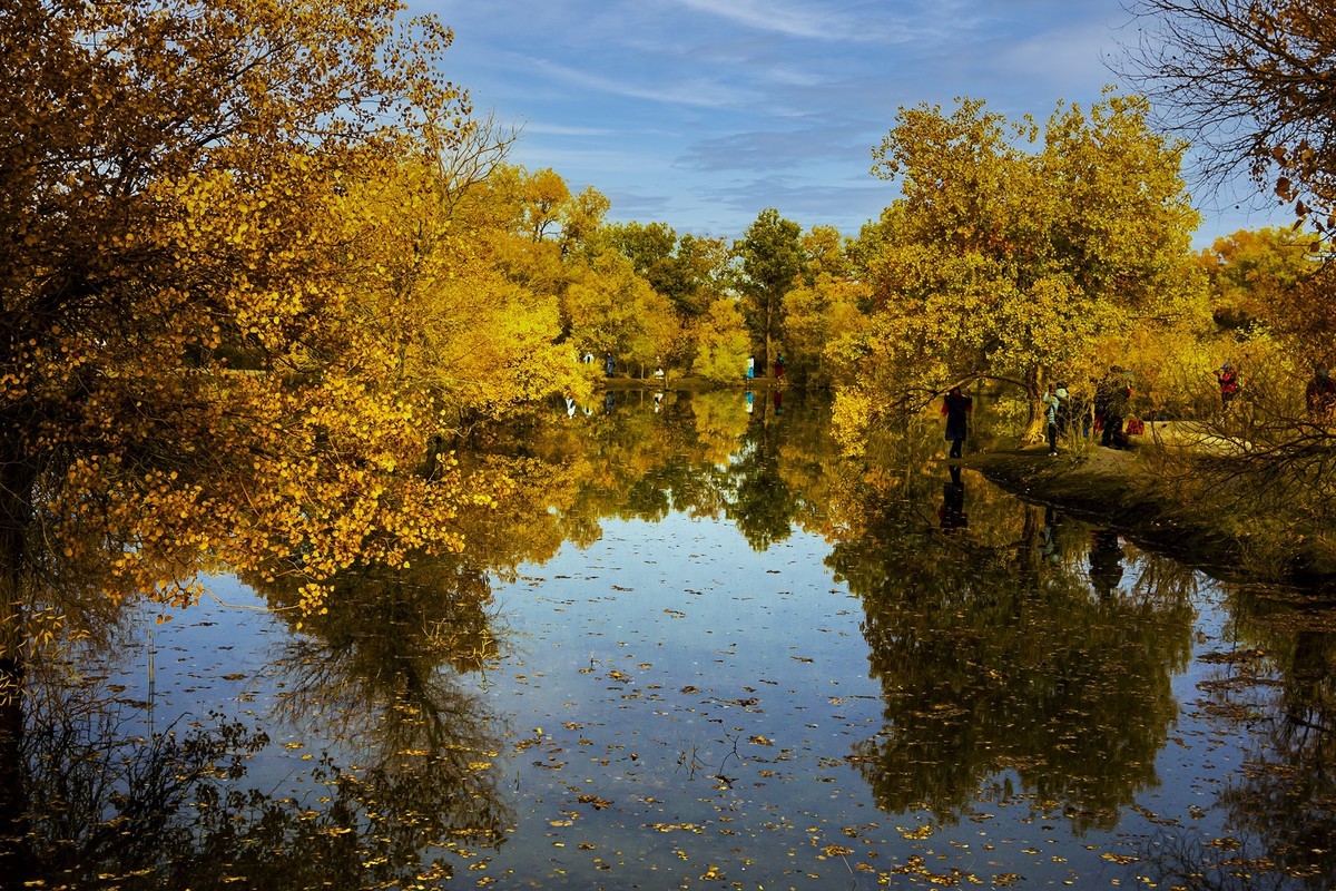秋天的最爱---额济纳胡杨林