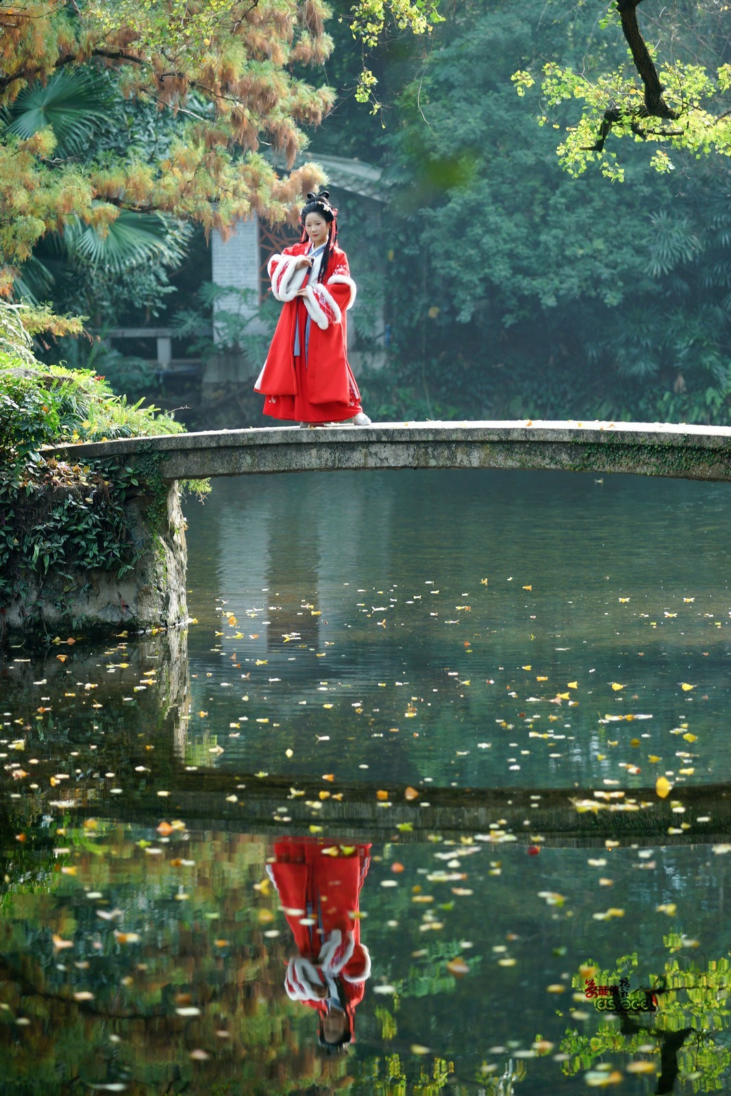 【冬日兰圃汉服少女】---左婷