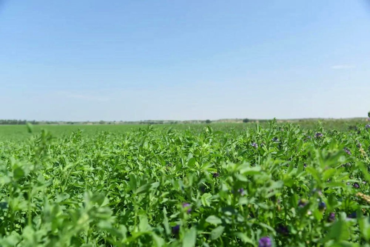 赤峰市第三届旅游发展产业大会--走进“中国草都”生态旅游区