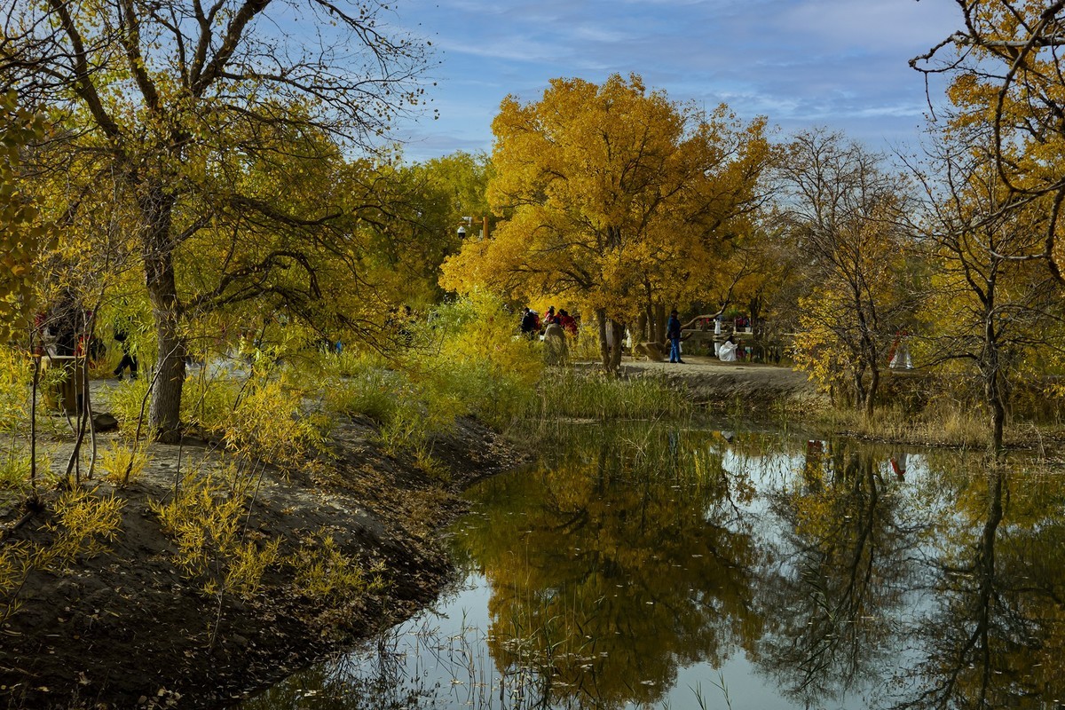 秋天的最爱---额济纳胡杨林