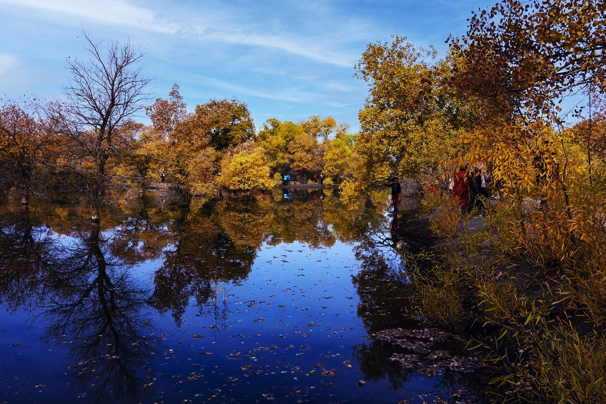 秋天的最爱---额济纳胡杨林