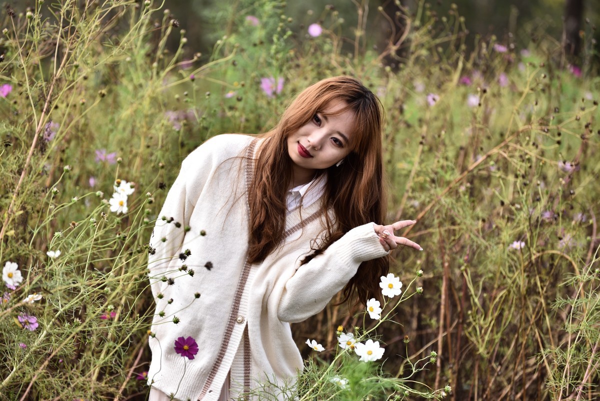 少女与格桑花
