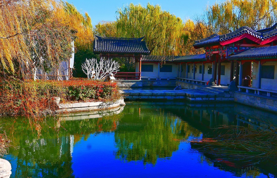 济南大明湖景今年冬天跑了北京和济南收货挺大冬天的片没断档哈哈