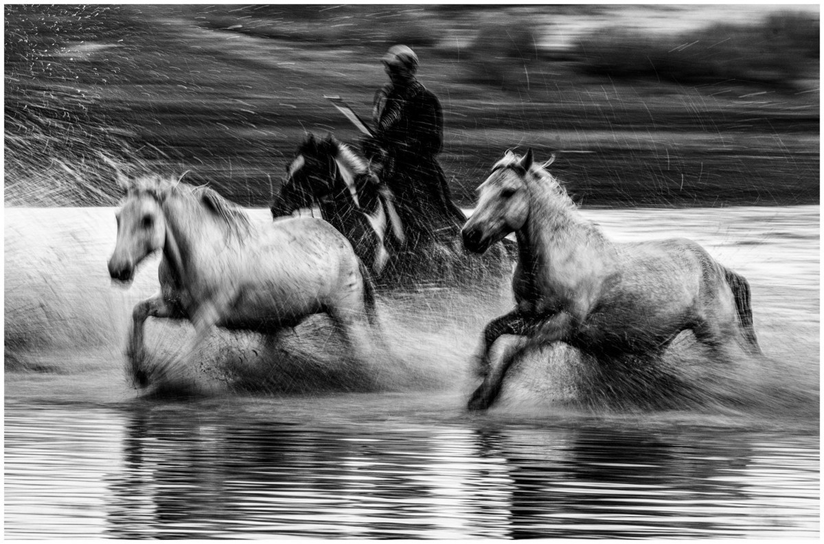 奔马图（重发）