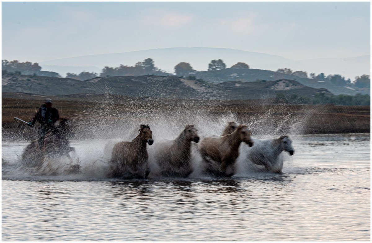 奔马图（重发）
