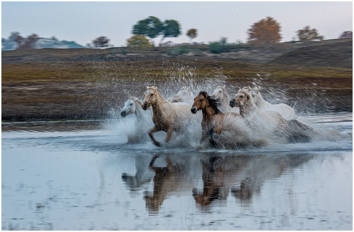 奔马图（重发）