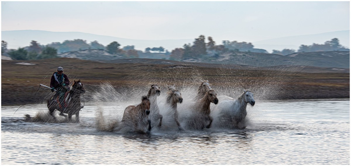 奔马图（重发）