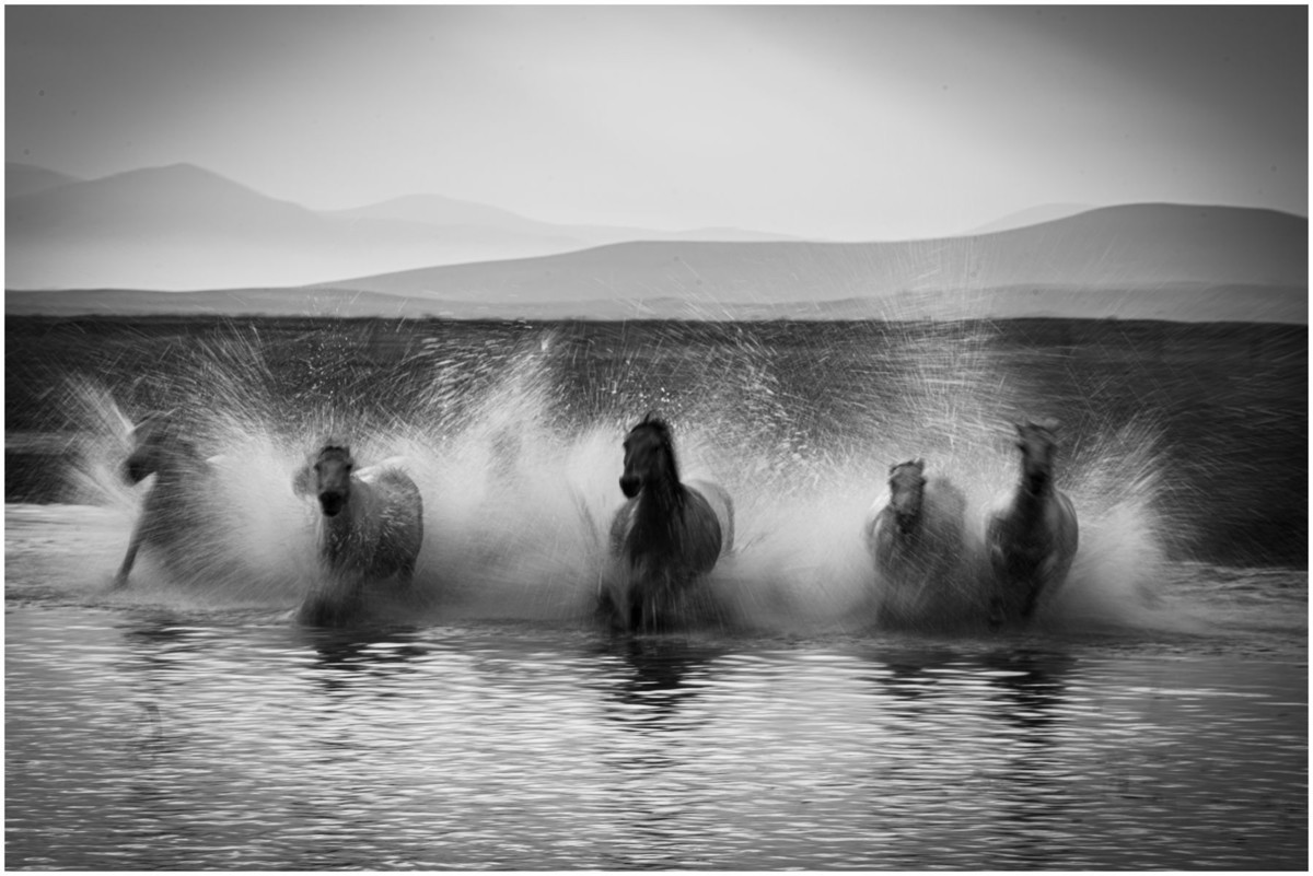 奔马图（重发）