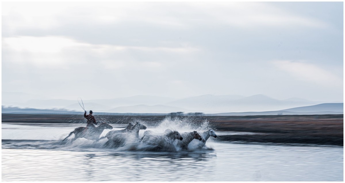 奔马图（重发）