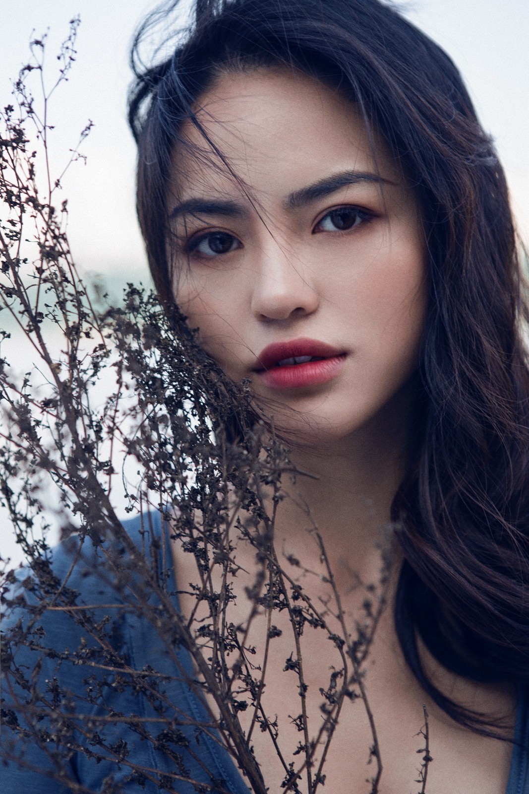 《 Fireworks》烟火