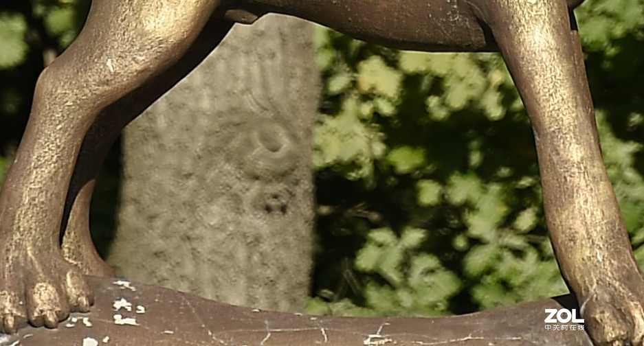 以下犯上（壹）200F/2.8对比300F/5.6