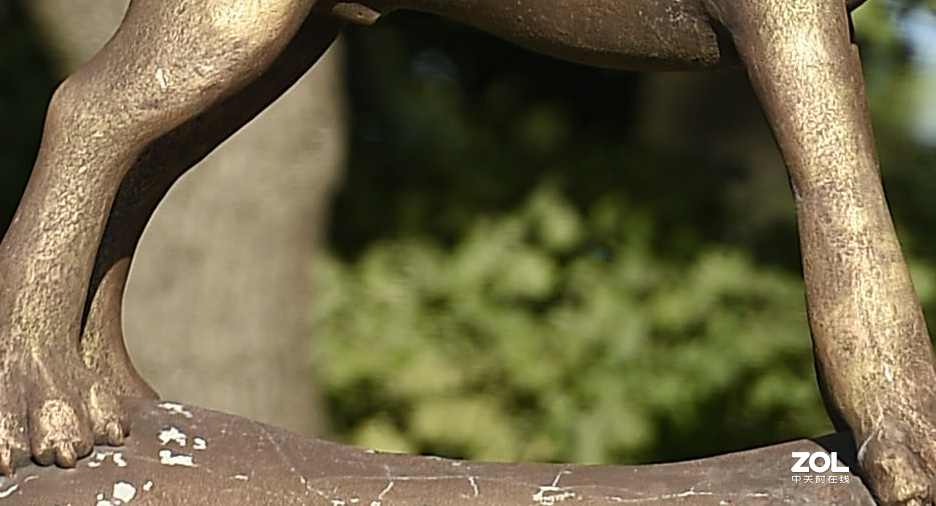 以下犯上（壹）200F/2.8对比300F/5.6