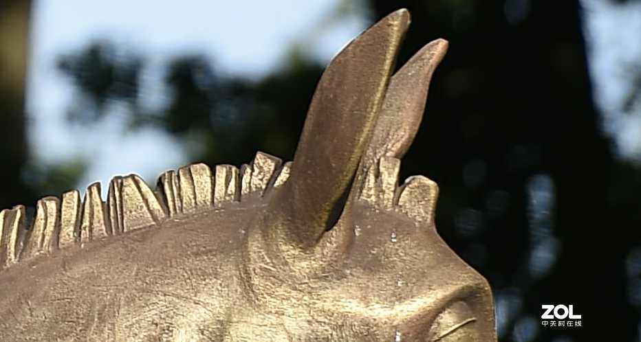 以下犯上（壹）200F/2.8对比300F/5.6