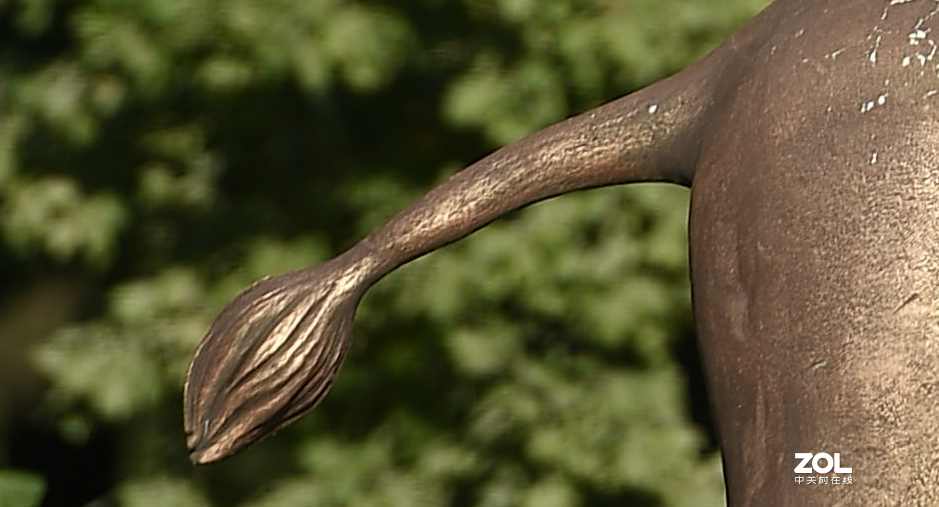 以下犯上（壹）200F/2.8对比300F/5.6