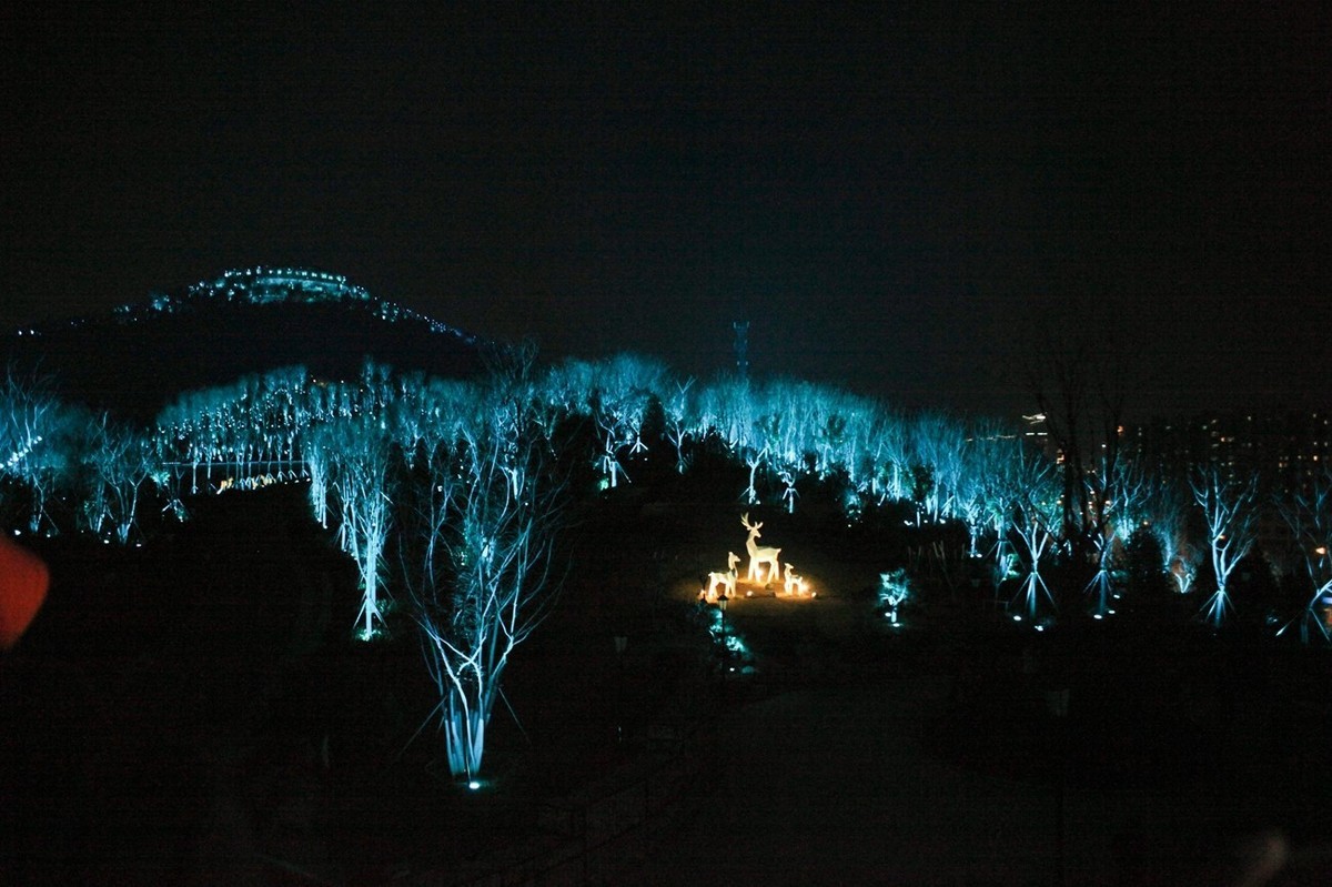 新建公园灯光秀