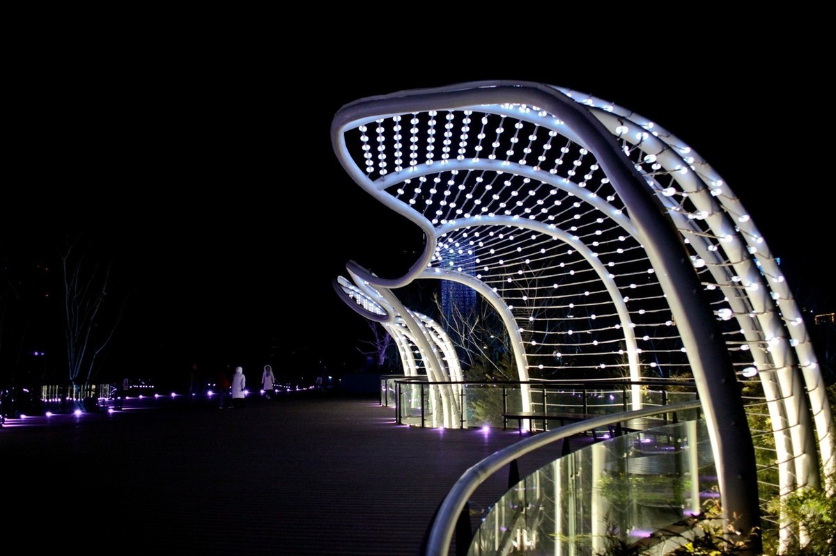 新建公园灯光秀