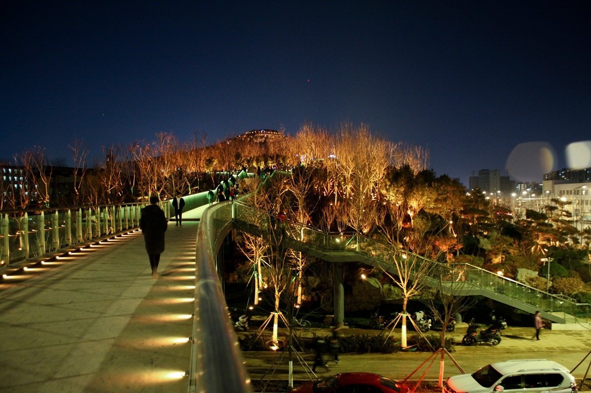 新建公园灯光秀