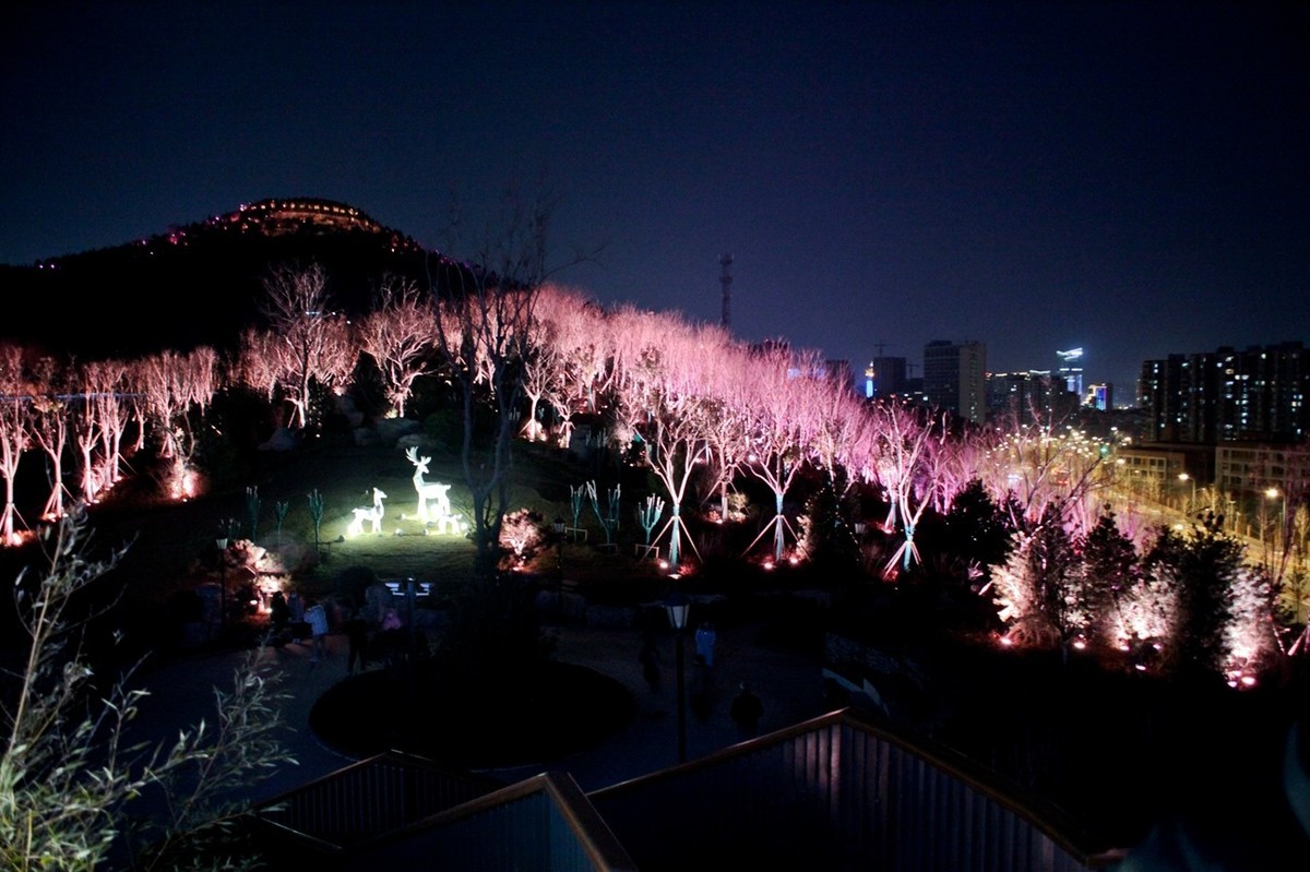 新建公园灯光秀