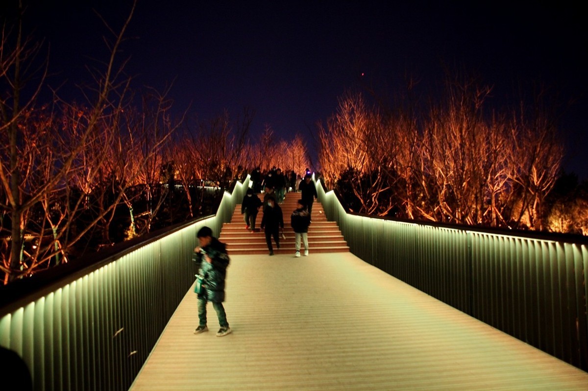 新建公园灯光秀