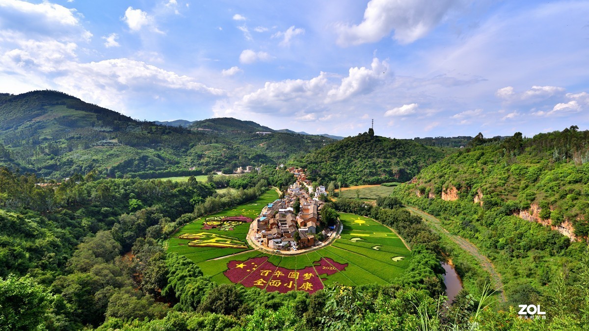 云南宜良观光农业彩色水稻造型