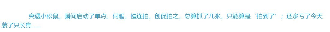 突遇小松鼠