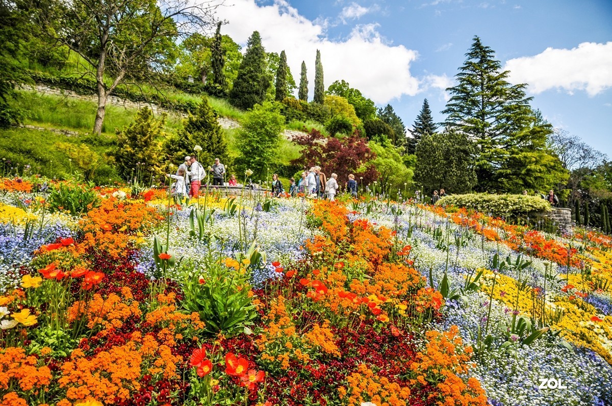花岛寻花