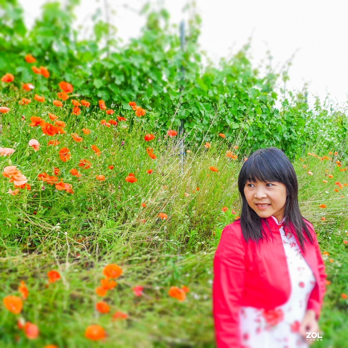 “卡片”上人像--拜望兄弟星空(中国)，祝师友夏日安好！！！