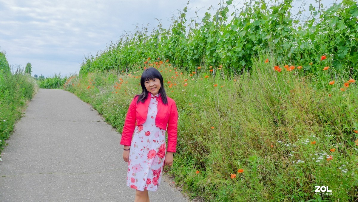 “卡片”上人像--拜望兄弟星空(中国)，祝师友夏日安好！！！