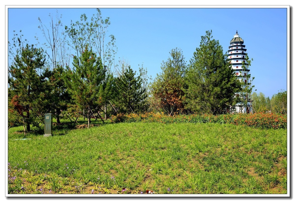 雄安新区郊野公园（4）