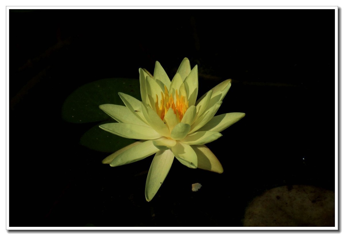 雄安新区郊野公园（4）