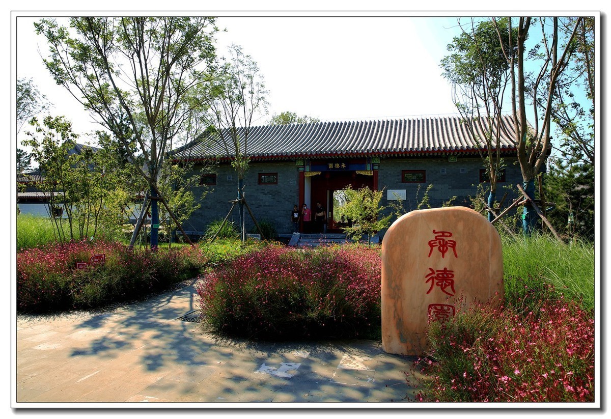 雄安新区郊野公园（4）