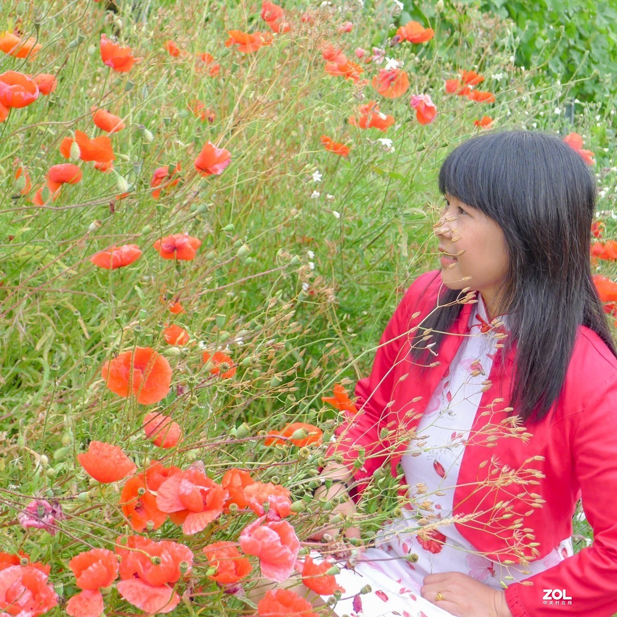 “卡片”上人像--拜望兄弟星空(中国)，祝师友夏日安好！！！