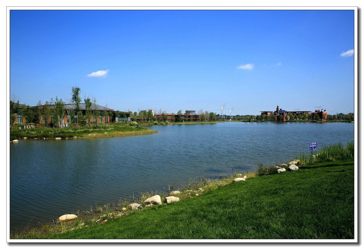 雄安新区郊野公园（4）