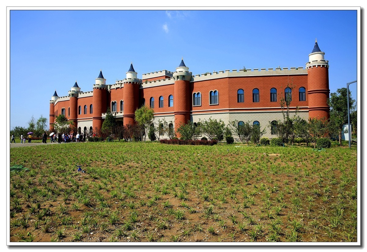 雄安新区郊野公园（4）