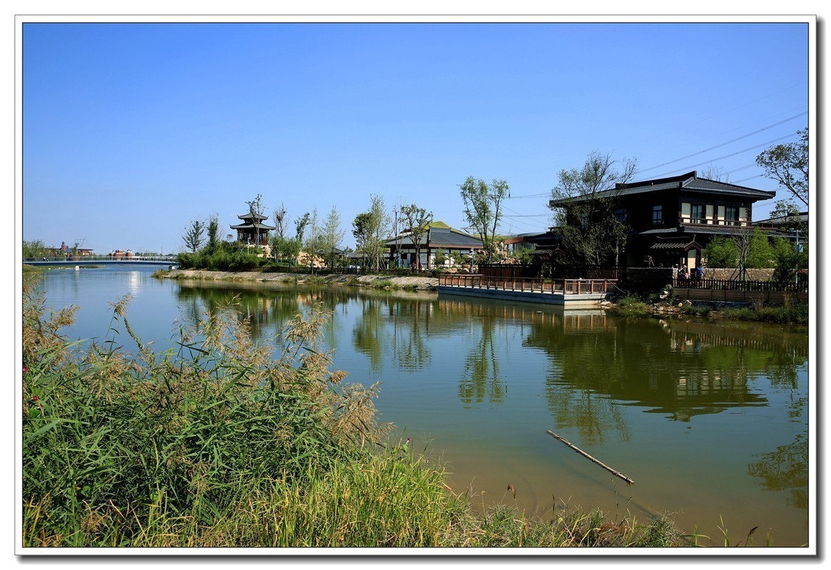 雄安新区郊野公园（4）