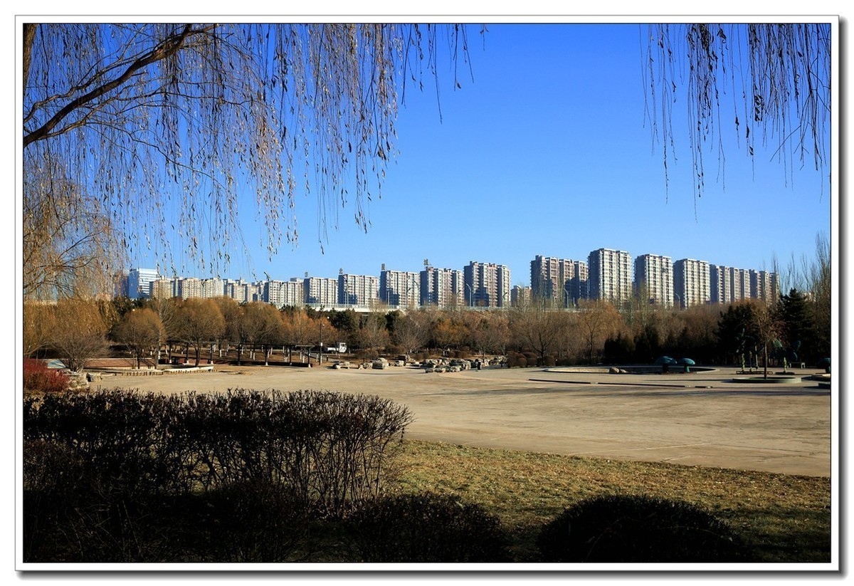 严冬御河畔（5）