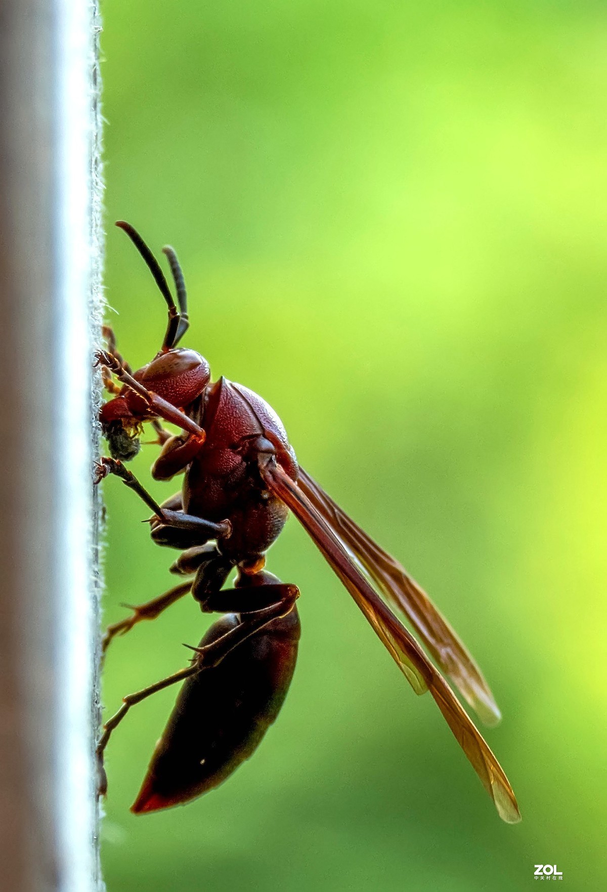 不错的机子。该考虑把入门单反给转手了。