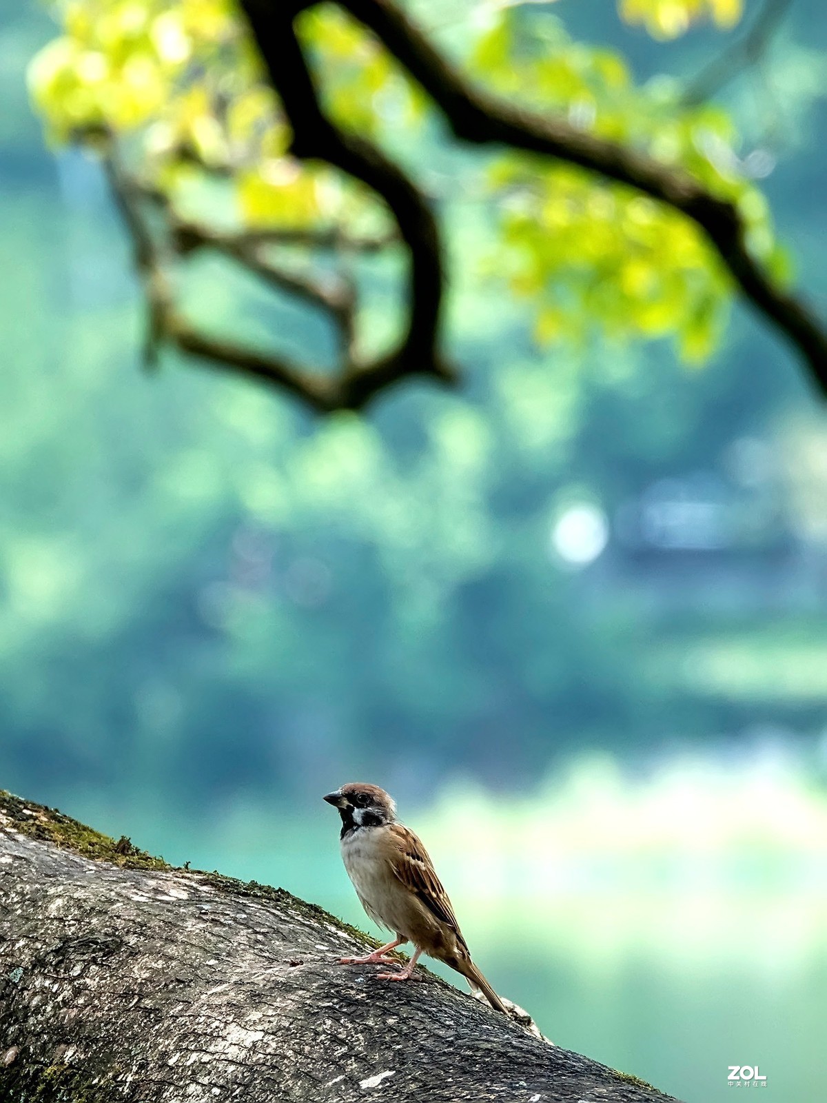 不错的机子。该考虑把入门单反给转手了。