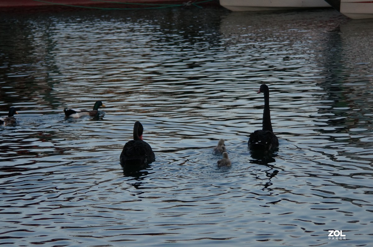 2021圆明园新年第一拍