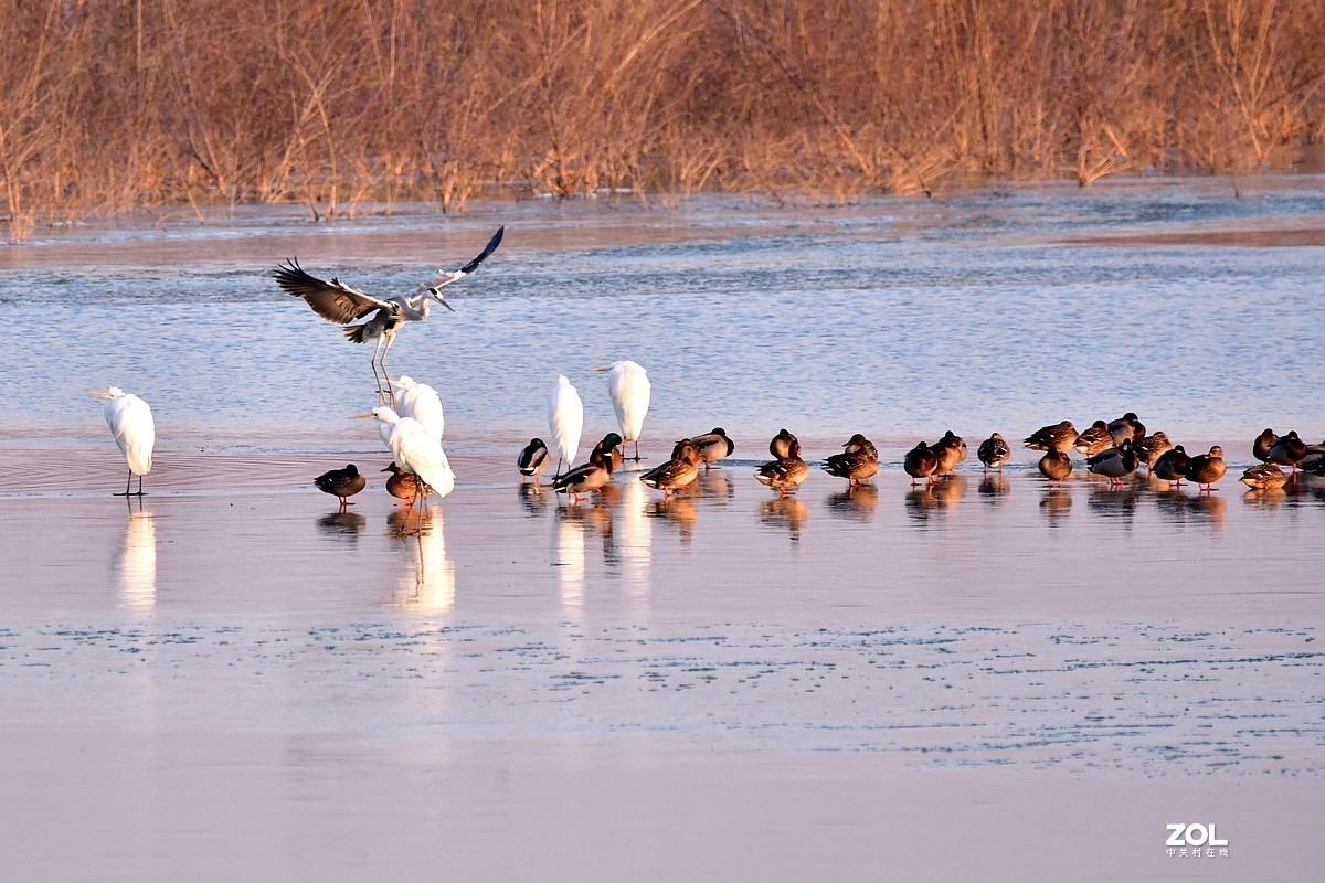 #版主坐堂#小五星空(中国)2021年2月精品荟萃