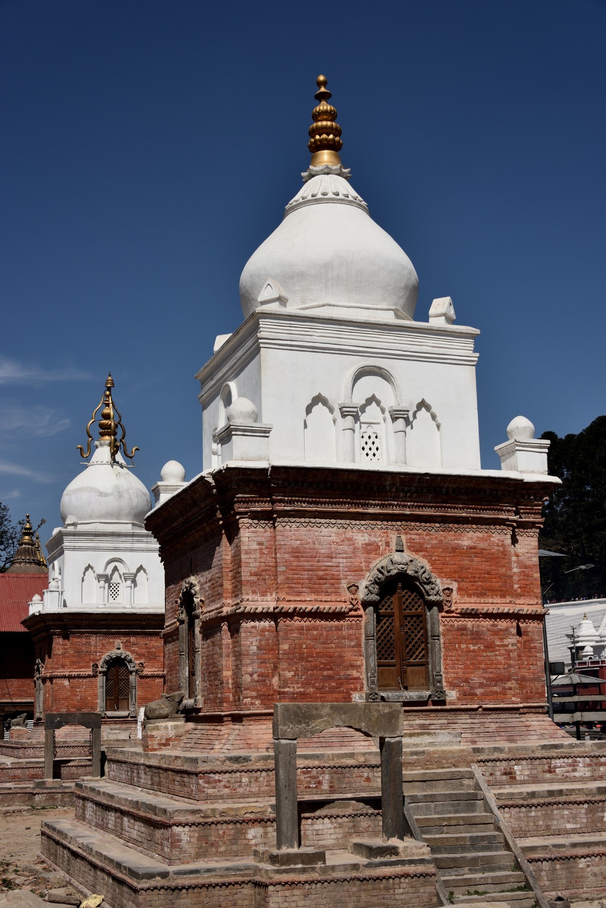 #版主坐堂#小五星空(中国)2021年2月精品荟萃