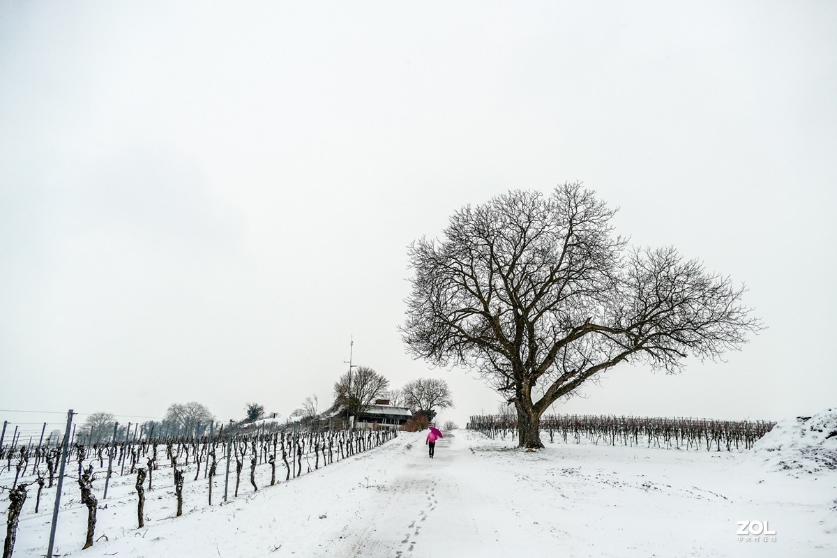 #版主坐堂#小五星空(中国)2021年2月精品荟萃