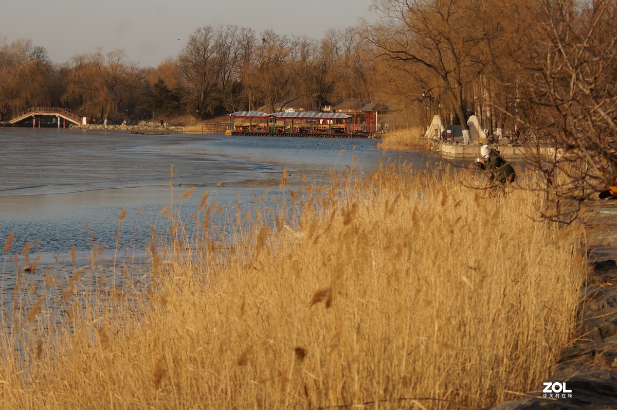 2021圆明园新年第一拍